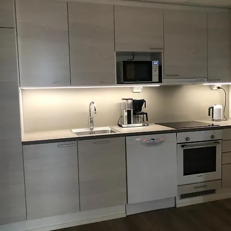 Center Arctic Elegance Apartamento *