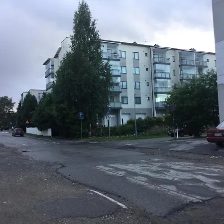 Center Arctic Elegance *