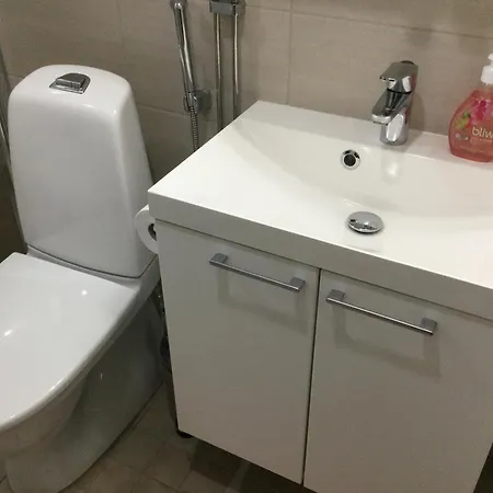 Center Arctic Elegance Apartment Rovaniemi