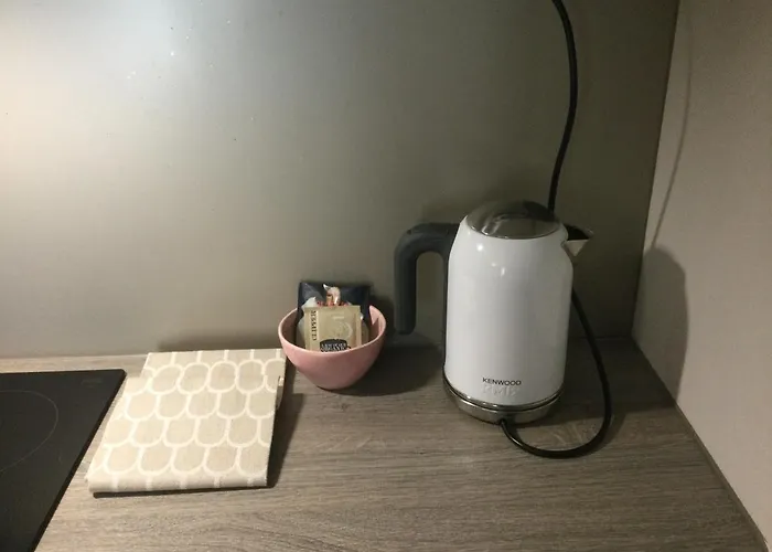 Center Arctic Elegance Appartamento *